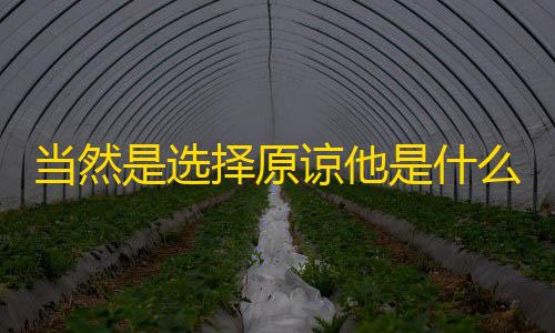 赛车外挂科技插件当然是选择原谅他是什么梗